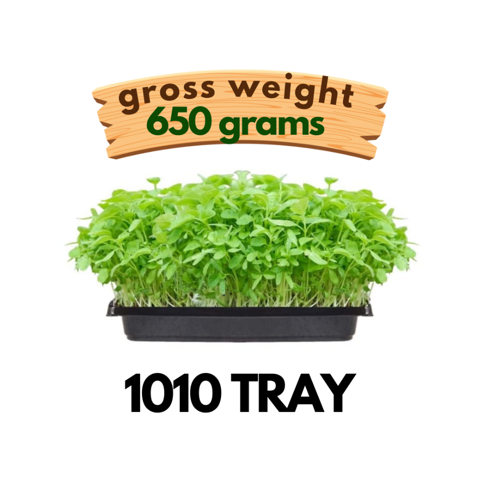 1010 Trays | Fresh Live Microgreens