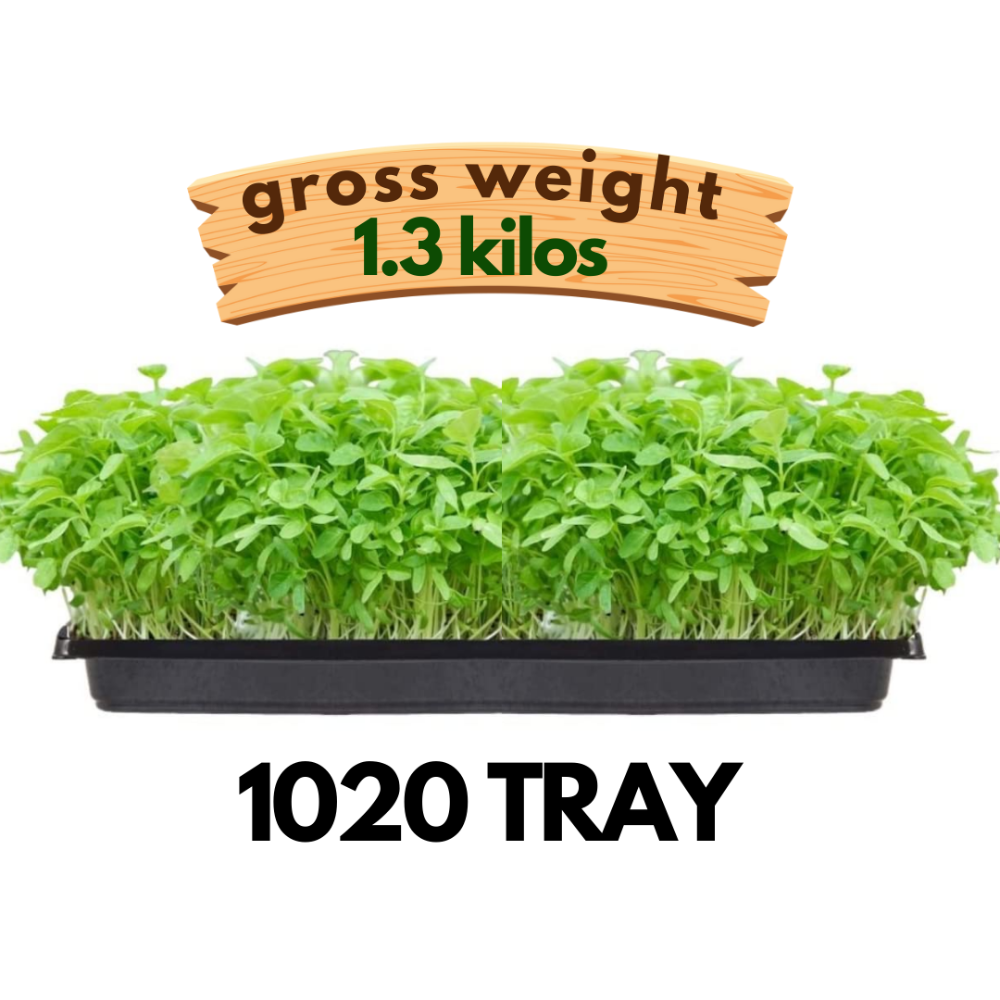 1020 Trays | Fresh Live Microgreens