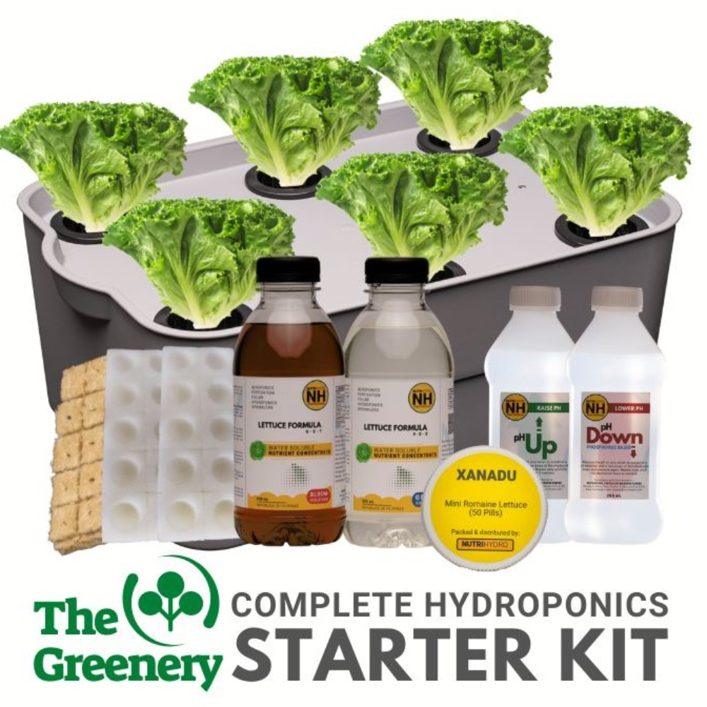 Complete Kratky Hydroponics Starter Kit | 6 Holes