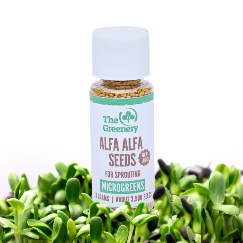 Alfa Alfa | Sprouting Microgreen Seeds